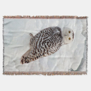 Snowy Owl woven blanket