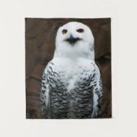 Snowy Owl wtcna