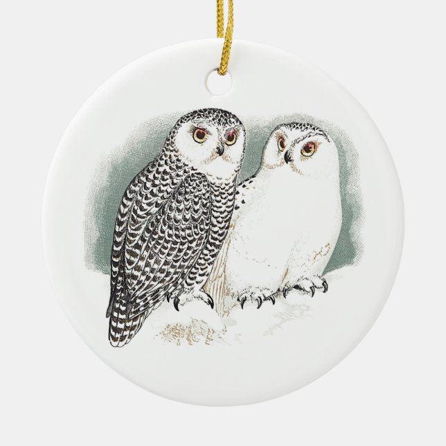 Snowy Owls Ceramic Tree Decoration (Front)