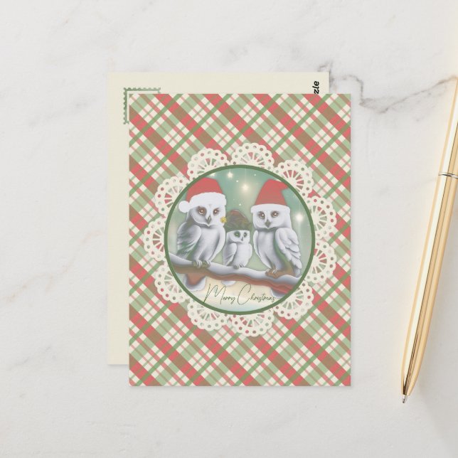 Snowy Owls' Noel  Postcard (Front/Back In Situ)