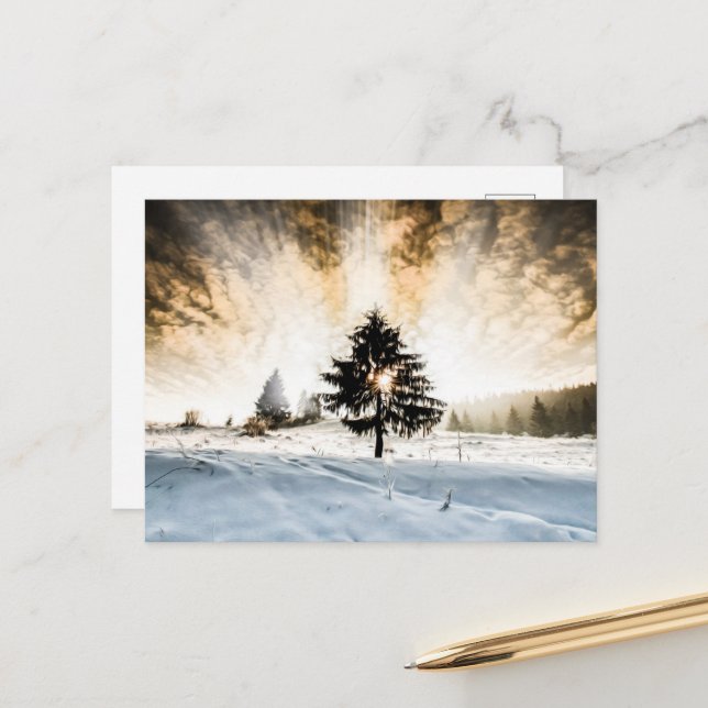 Snowy Pathway Postcard (Front/Back In Situ)