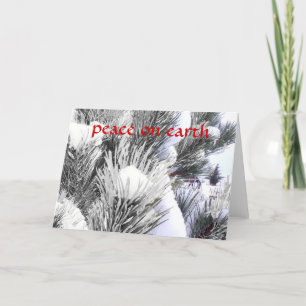 Snowy Peace Winter Blessings Horse Pony Christmas Holiday Card