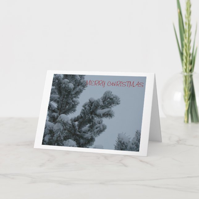 Snowy Pine Boughs, Peace Holiday Card (Front)