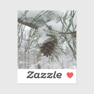 Snowy Pine Branch Winter Nature Photography