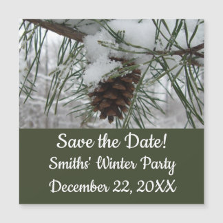 Snowy Pine Branch Winter Nature Photography
