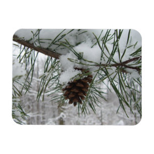 Snowy Pine Branch Winter Nature Photography Magnet