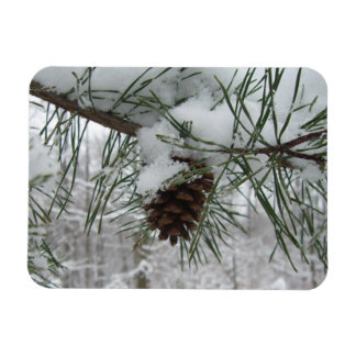 Snowy Pine Branch Winter Nature Photography Magnet
