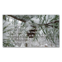 Snowy Pine Branch Winter Nature Photography