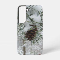 Snowy Pine Branch Winter Nature Photography