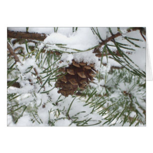 Snowy Pine Cone I Winter Nature Photography