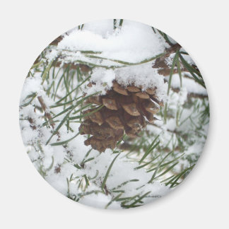 Snowy Pine Cone I Winter Nature Photography Magnet