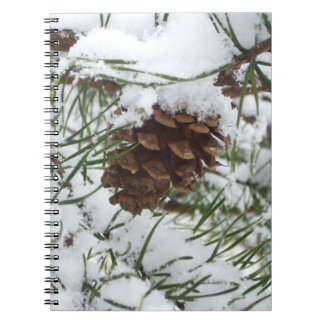 Snowy Pine Cone I Winter Nature Photography Notebook