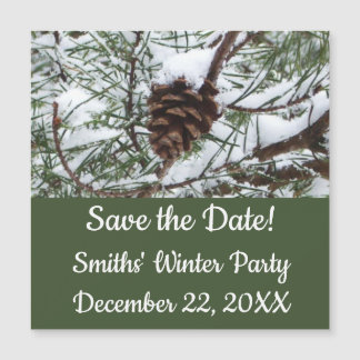 Snowy Pine Cone II Winter Nature Photography
