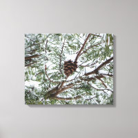 Snowy Pine Cone II Winter Nature Photography