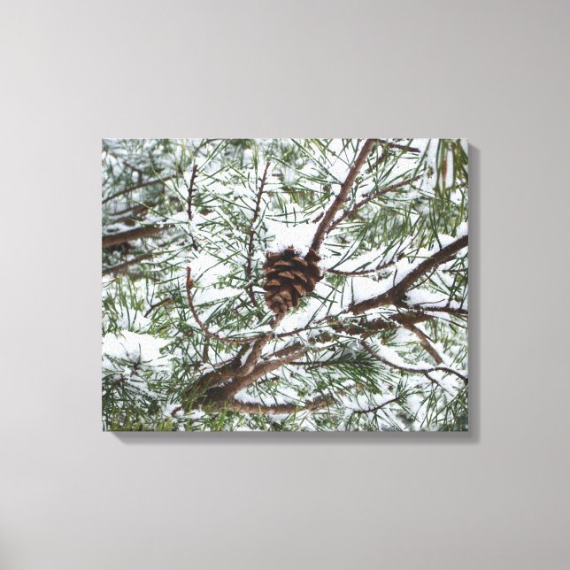 Snowy Pine Cone II Winter Nature Photography Canvas Print (Front)
