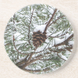 Snowy Pine Cone II Winter Nature Photography Coaster