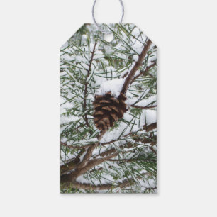 Snowy Pine Cone II Winter Nature Photography Gift Tags