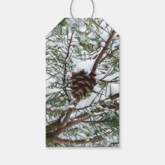 Snowy Pine Cone II Winter Nature Photography Gift Tags
