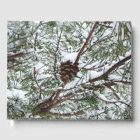 Snowy Pine Cone II Winter Nature Photography