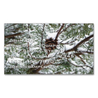 Snowy Pine Cone II Winter Nature Photography