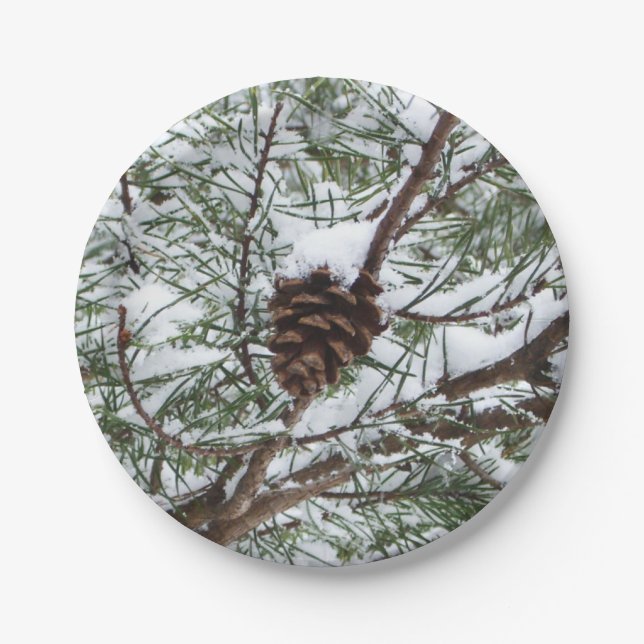 Snowy Pine Cone II Winter Nature Photography Paper Plate (Front)