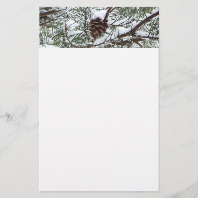Snowy Pine Cone II Winter Nature Photography Stationery (Front)