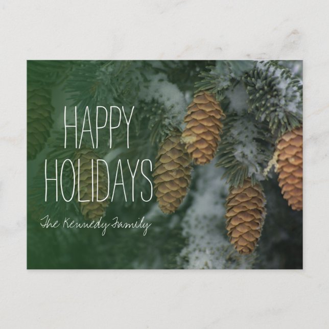 Snowy pine cones holiday postcard (Front)
