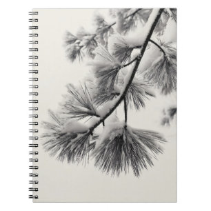 Snowy Pine Needle Branch Notebook