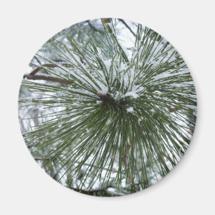 Snowy Pine Needles Winter Nature Photography Magnet
