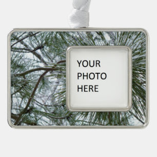 Snowy Pine Needles Winter Nature Photography Silver Plated Framed Ornament