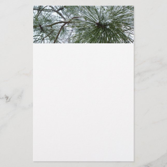 Snowy Pine Needles Winter Nature Photography Stationery (Front)