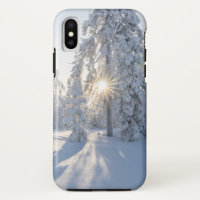 Snowy Pine Tree's