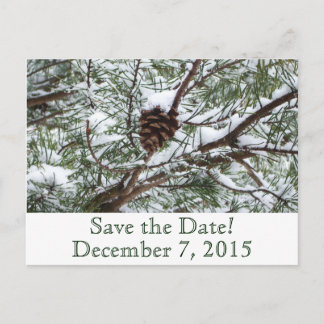 Snowy Pinecone Save the Date Announcement Postcard