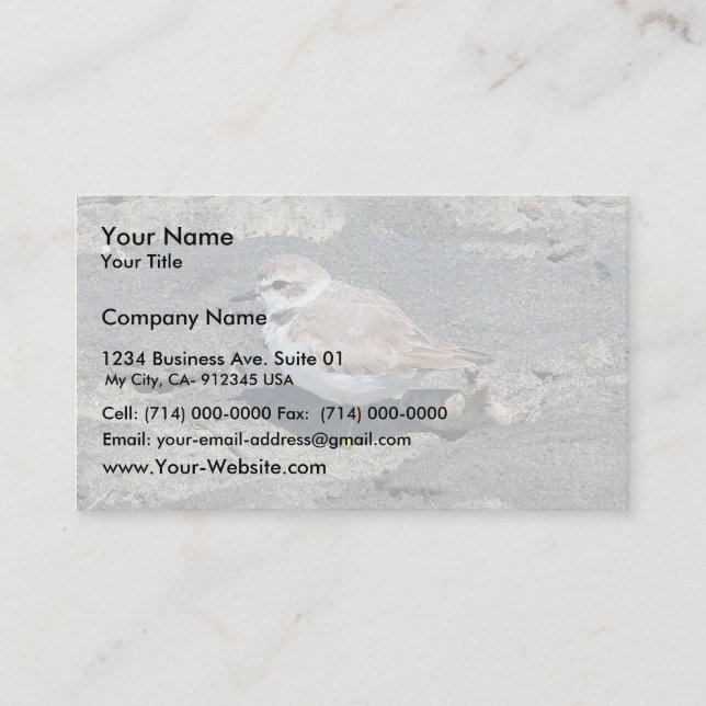 Snowy plover business card (Front)