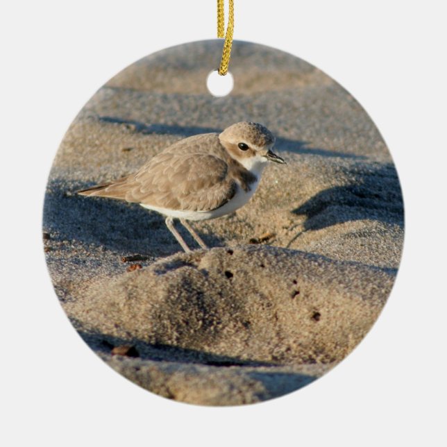 Snowy Plover Ceramic Tree Decoration (Front)