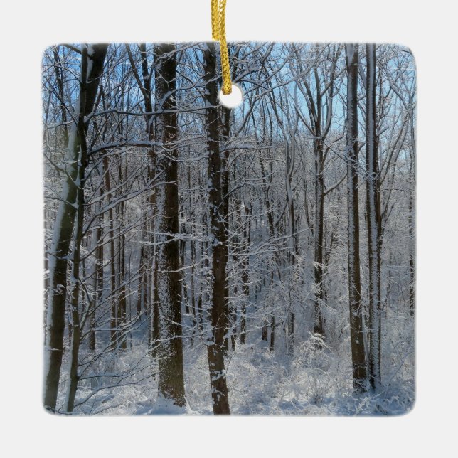 Snowy Poplar Forest I  Ceramic Ornament (Front)