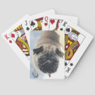 Snowy Pug Deck of Cards