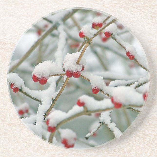 Snowy Red Berries Winter Scene Sandstone Coaster (Front)