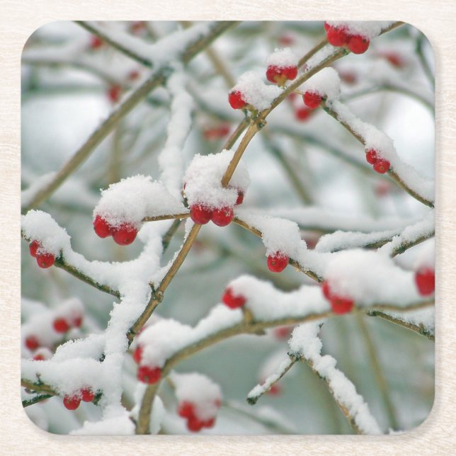 Snowy Red Berries Winter Scene Square Paper Coaster (Front)