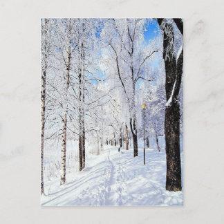 Snowy Road Postcard