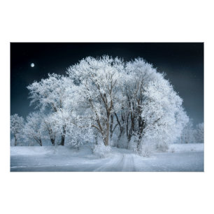 Snowy Road through Frosted Trees Poster