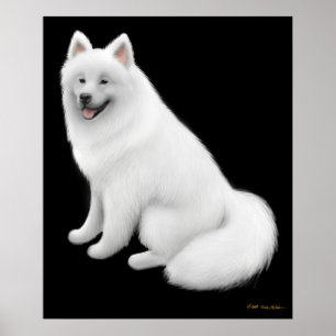 Snowy Samoyed Dog Print