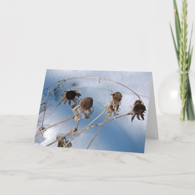 Snowy Seed Heads Card (Front)