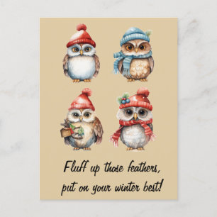 Snowy Spirits: Owls in Winter's Warmth Postcard