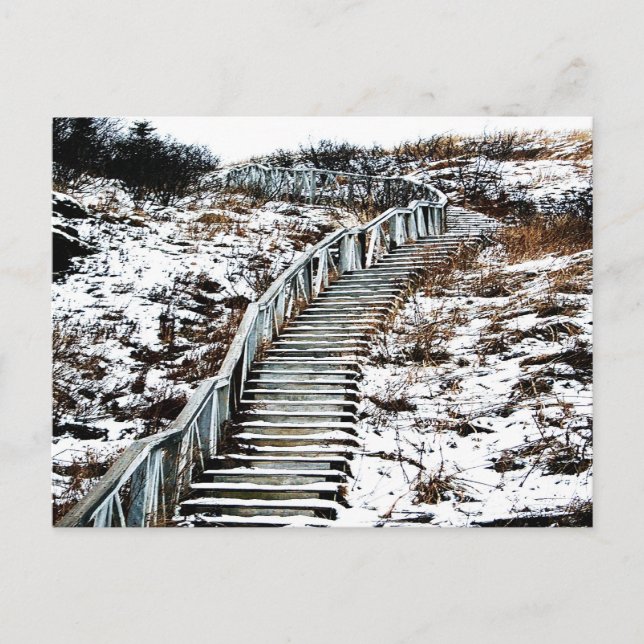 Snowy Staircase Postcard (Front)