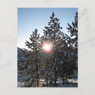 Snowy sunrise in Colorado Postcard