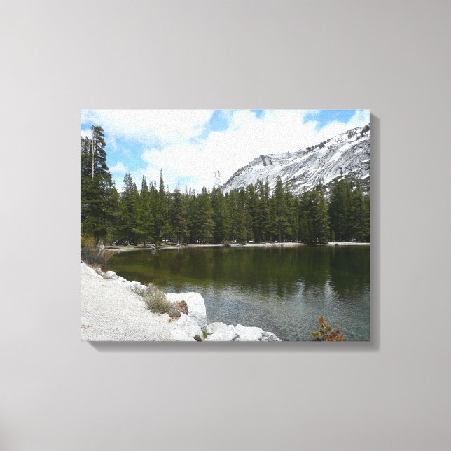 Snowy Tenaya Lake Yosemite National Park Photo Canvas Print (Front)