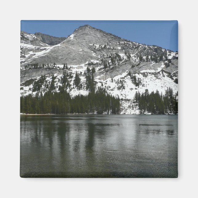 Snowy Tenaya Lake Yosemite National Park Photo Magnet (Front)