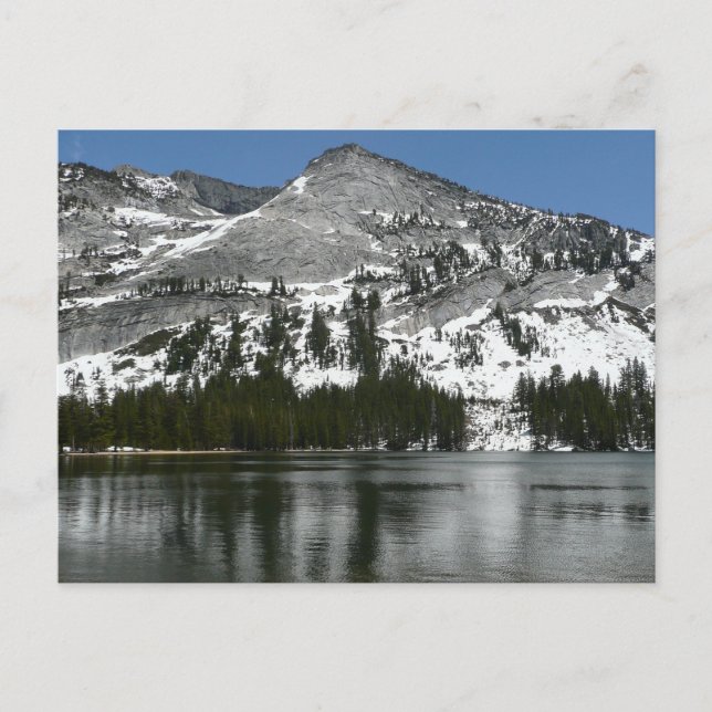 Snowy Tenaya Lake Yosemite National Park Photo Postcard (Front)