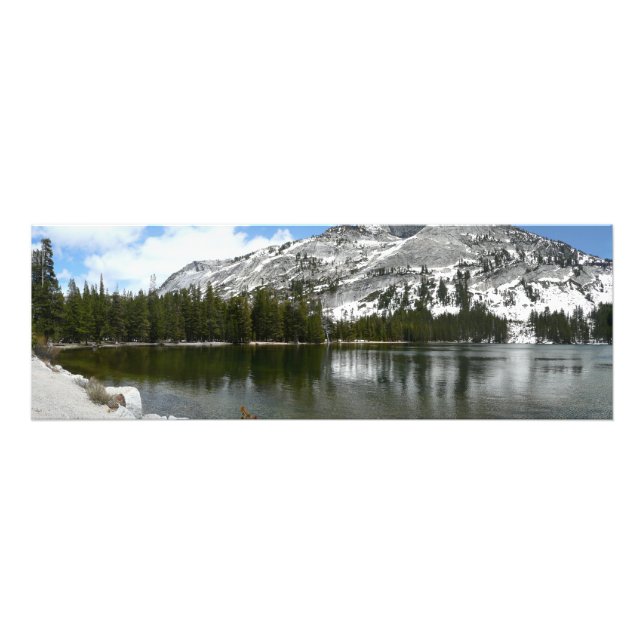 Snowy Tenaya Lake Yosemite National Park Photo Print (Front)